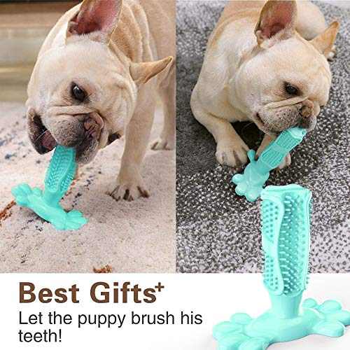 dasaba Dog Chew Toys for Aggressive Chewers,Teeth Cleaning Chewing Toys for Small & Medium Large Breed Dogs Durable Non-Toxic Elastic Rubber Pets Toothbrush Dog Toys