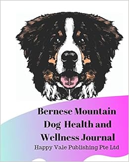 amazon bernese mountain dog