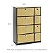 Furinno Econ Organizer Cabinet, Espresso/Light Brown