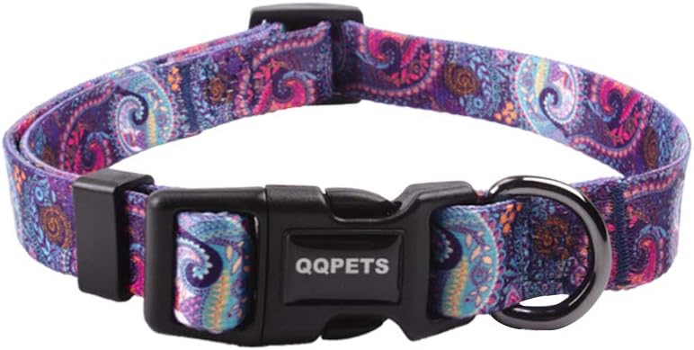 western style dog collars