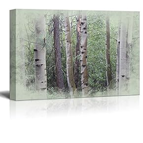 Canvas Print Landscape Wall Art - Trees in Forest - Gallery Wrap Modern Home Art | Ready to Hang -12x18 inches