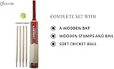 DIVCHI Kids Cricket Set Wooden Bat Stumps Ball in Mesh Bag Size 5 Age 8-12 view 4