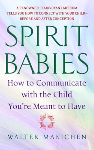 Download Spirit Babies: How to Communicate with the Child You're Meant to Have (English Edition) PDF