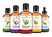 Real Peppermint Essential Oil :: Pure Undiluted (2oz)