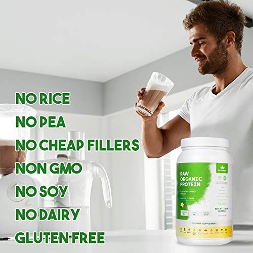 Dr. Forest Organic Raw Cold Pressed Vegan Plant Protein Powder - Add to Your Favorite Smoothies or Shakes - Non-GMO Certified Organic 20 Grams Protein per Serving, 2.2 lbs (Vanilla, 2.2 lbs)