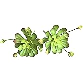 Gcrdplat 2pcs Artificial Succulent Plants, Realistic Fake Succulents, Fake Plants for Garden Arrangement Decor, Green