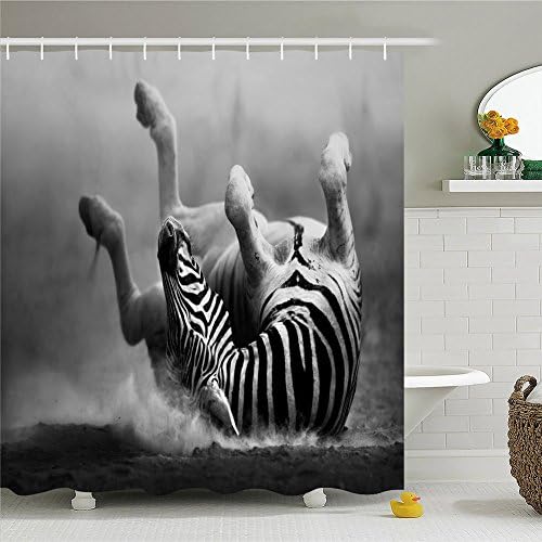 Inspirational Cute Parrot Birds and Zebra Bath Collection Polyester Waterproof Shower Curtain-Bathroom Accessories 72x72