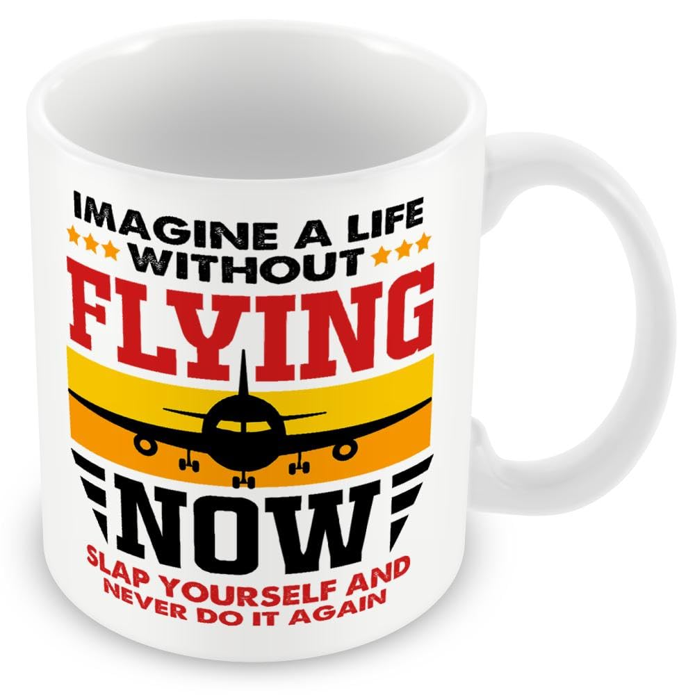 Mug Gift for Pilot - Imagine A Life Without Flying Now Slap Yourself and Never Do It Again
