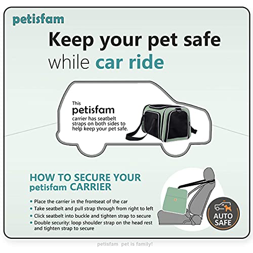Soft Pet Carriers for Medium and Large Cats, 2 Kitties and Small Dogs w