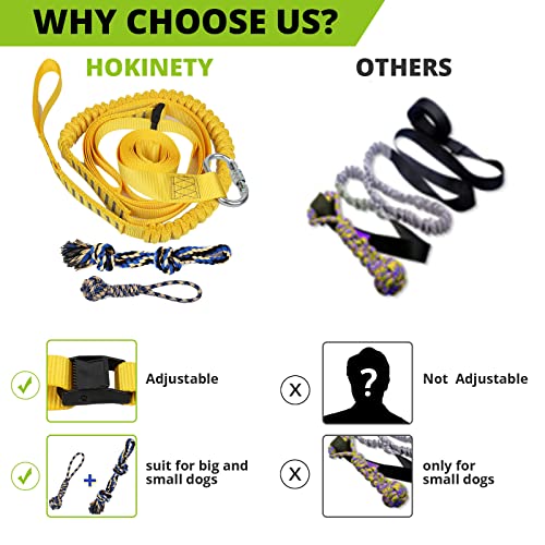 Dog Hanging Bungee Tug Toy Interactive Tether TugofWar for Pitbull