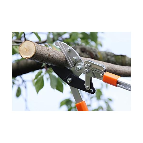 Gartenpaul Teleskop Astschere mit 6-Fach verstellbaren Griffen | Amboss Klingensystem mit Antihaftbeschichtung… – Bild 7