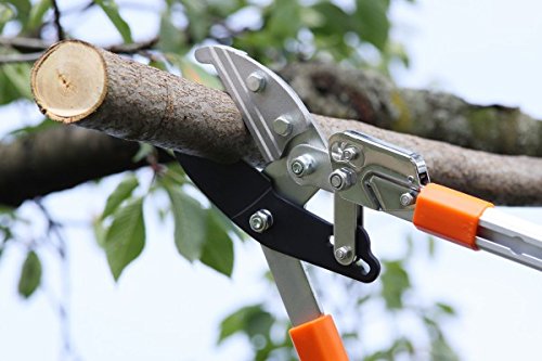 Gartenpaul Teleskop Astschere mit 6-Fach verstellbaren Griffen | Amboss Klingensystem mit Antihaftbeschichtung… – Bild 7