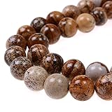 PLTbeads 8mm Natural Picture Jasper Gemstone Round Loose Beads Approxi 15.5 inch 48pcs 1 Strand per Bag for Jewelry Making Findings Accessories