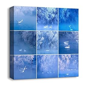 Canvas Wall Art Animals Plants Collage Ideas Home Wall Decorations for Bedroom Living Room Oil Paintings Canvas Prints Framed - 12x12 inches