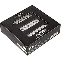 Amazon.com: Fender Custom Shop Fat 