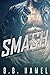 Smash: A Stepbrother MMA Romance
