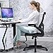 Home Office Chair Mesh Desk Chair Computer Chair with Lumbar Support Flip Up Arms Ergonomic Chair Adjustable Swivel Rolling Executive Mid Back Task Chair for Women Adults, Black