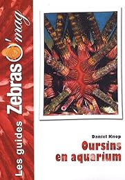 Oursins en aquarium