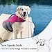 VIVAGLORY Sports Style Dog Life Vest, Dog Life Jacket for Swimming & Boating, Ripstop & Buoyancy for Puppy Doggy, Lifejacket with Handle, M, Pink