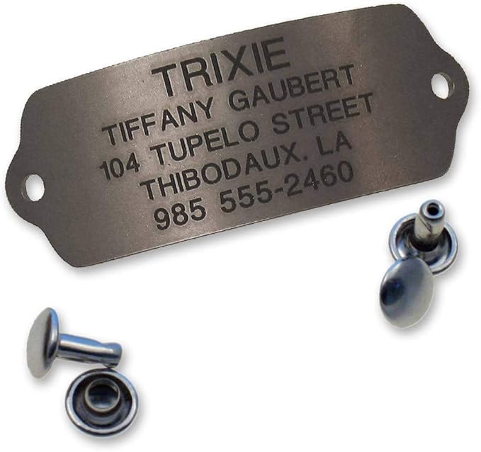 LuckyPet RivetOn Pet ID Tag, Silent, Personalized and