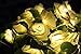 Avanti 20-Light LED Battery-Operated String Light Rose Flower Indoor Outdoor All Occasion Party Decor (Warm White)
