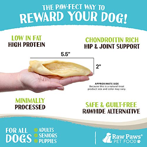 Raw Paws Large Lamb Ears for Dogs, 15 Pack Packed in USA All
