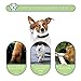 Petacc Dog Boots Water Resistant Dog Shoes for Large Dogs and Black Labrador 4 Pcs in Size 5 Black