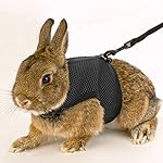 Calunce Soft Rabbits Harness with Leash (black 1pcs)