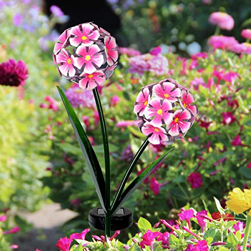 WPNMASNP Garden Solar Lights, Decorative Hyacinth Flower Garden Stake 26 Leds Cute Outdoor Decoration 21 5 Inch Begin Clearance 6e05062d 8cdf 48b4 Bbe5 E4c548aa1184.81ca69dd09060465f765315fef6433a8