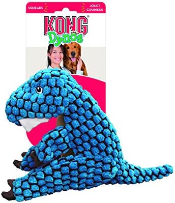 kong dinosaur toy