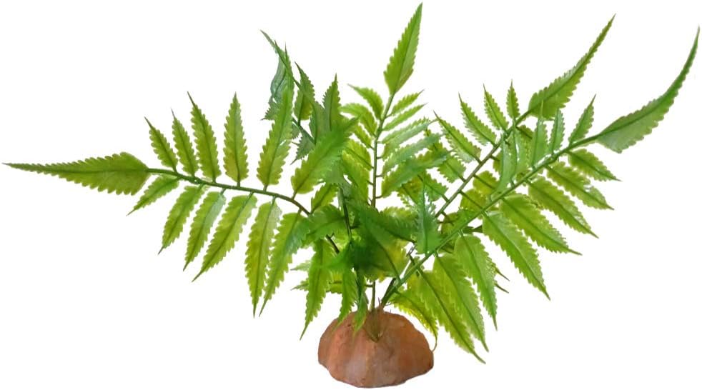 used fish tank decorations