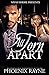 All Torn Apart (BWWM Romance)