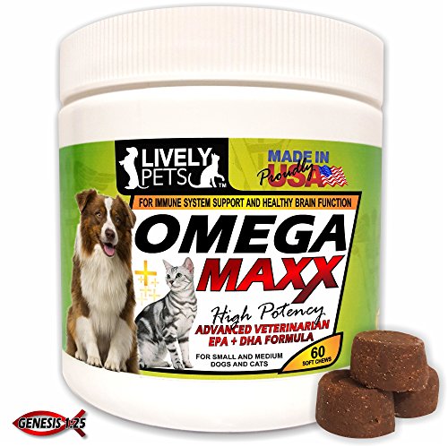 Omega maxx fish oil soft chews - best daily dog vitamin…