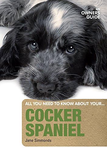 Cocker Spaniel: An Owner's Guide