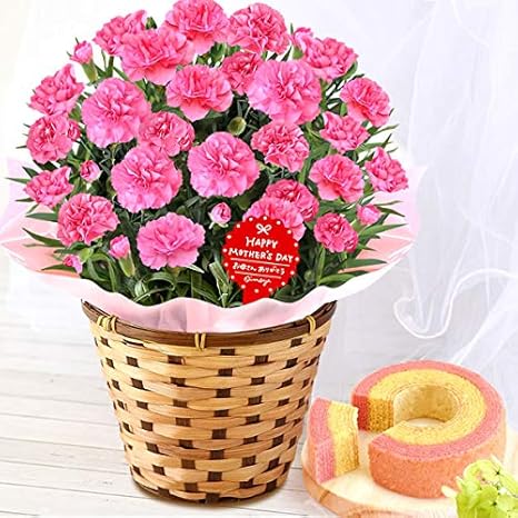 Amazon 母の日 の プレゼント カーネーション5号鉢 おいもやケーキ洋菓子 花とスイーツ 花鉢 生花 フラワーギフト 母の日ギフト ピンク 観葉植物 オンライン通販