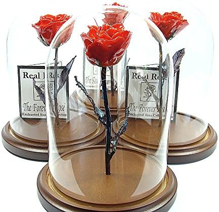 Enchanted Rose - The Beauty and the Beast inspired Forever Rose - This is a Real Rose! (Red)