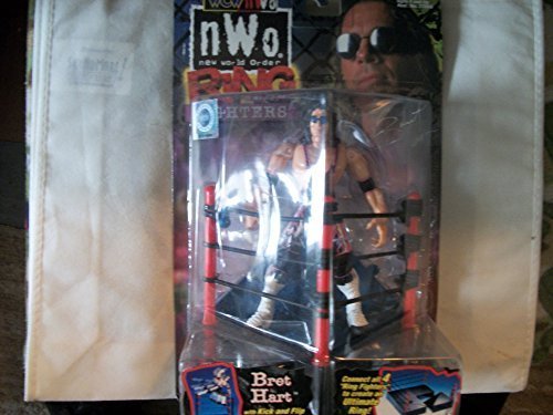 WCW/NWO Ring Fighters: Brett Hart