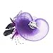 Navifoce Fashion Women's Flower Feather Mesh Net Fascinator Beaded Cocktail Headwear with Hair Clip and Brooch