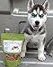 Dog Bark Naturals Chicken Bark - All Natural Chicken Jerky Dog and Puppy Treats, No fillers, Responsibly Sourced and Made in the USA