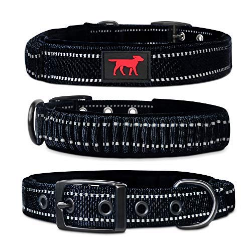 Top 5 Best Indestructible Dog Collars Buyer’s Guide & Reviews