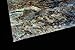 Dragon Paua Shell Veneer Sheet (9.4