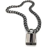 Succuba Padlock Necklace Chain Collar Choker with Two Keys and Box for Women, Men and Pet