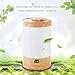 REIDEA Ultrasonic Humidifier, 3L Whisper-Quiet Cool Mist Humidifier with LED Display, Adjustable 40-85% RH & Two Mist Levels Humidifying Unit