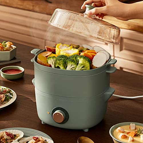 PNAWLLCF Electric Food Steamers Household Multifunctional Egg Cooker ForBoiler Cooking Tools Kitchen 2 Layers 600W