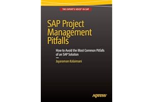 SAP Project Management Pitfalls: How to Avoid the Most Common Pitfalls of an SAP Solution