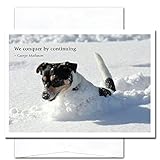 Conquer by Continuing: New Year Holiday Cards - box of 10 cards & envelopes