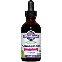 Amazon.com: Four Elements 4E Hypnotic Sleep Tincture Blend, Fresh