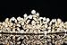 Flower Leaf Bridal Wedding Tiara Crown - Clear Crystals Gold Plating T656