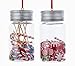 Kurt Adler 1 Set 2 Assorted Candy Jar Peppermints And Assorted Candy Christmas Ornaments