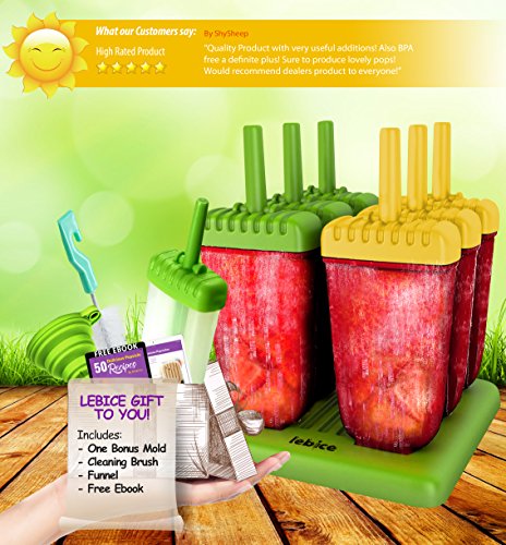 1 Popsicle+Molds+Set+Silicone+book